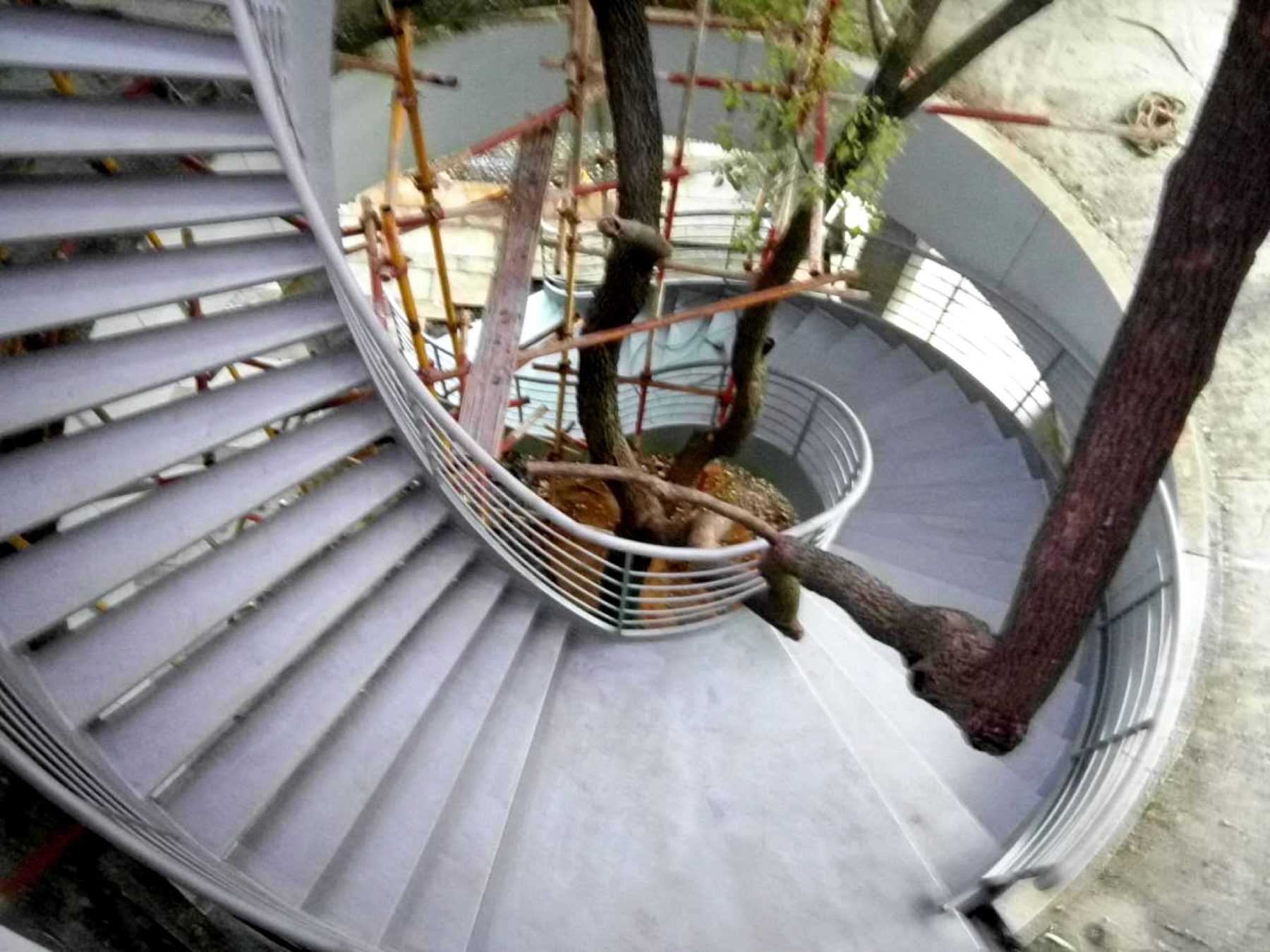 Helical staircase around a tree — Changde